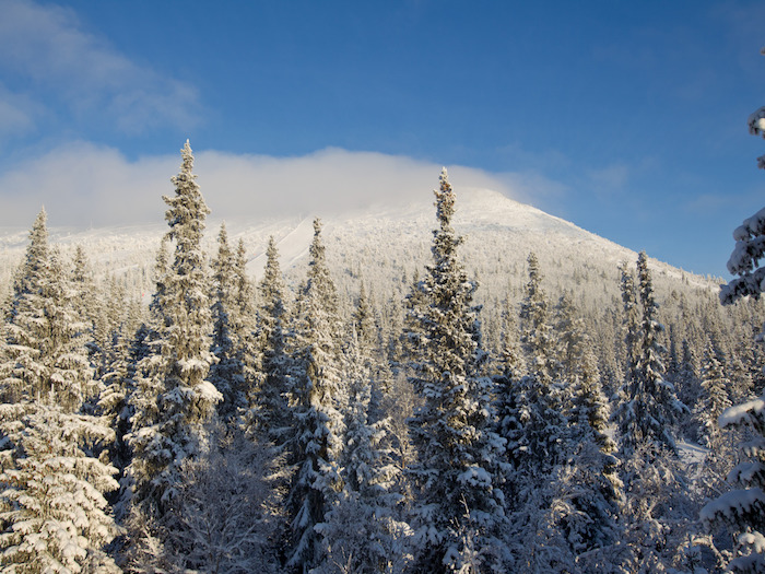The 10th Miyukino Snow Theater International Film Festival 2018