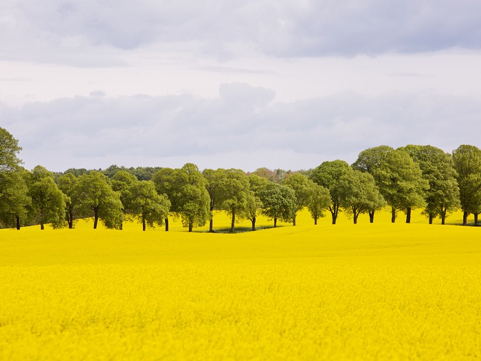 Östergötland County Seminar- Innovation and Textile Technology