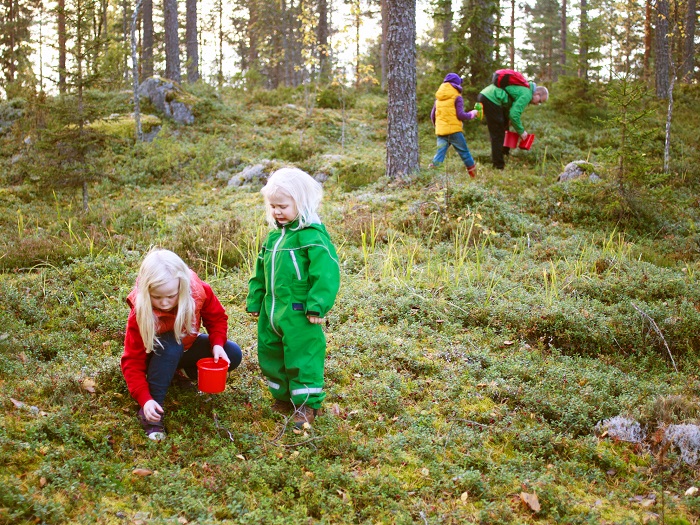 The Nordic Forest Music Picnic