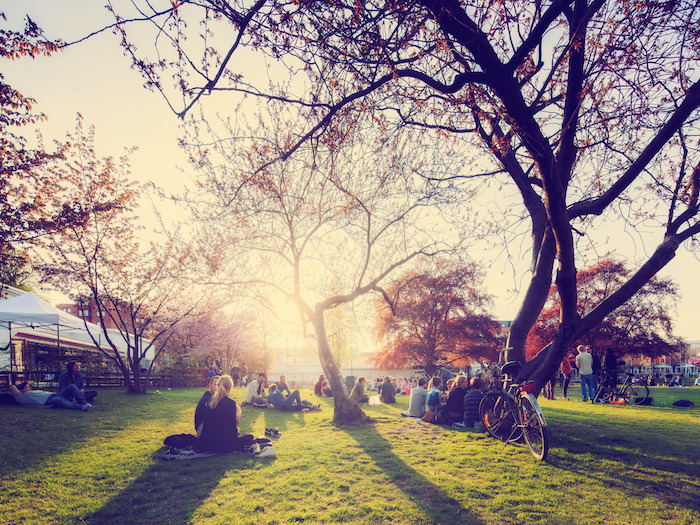 ORCHESTRA EXCELSIS – The 9th Concert