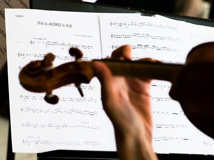 The Harmony of Sweden (Honjo)