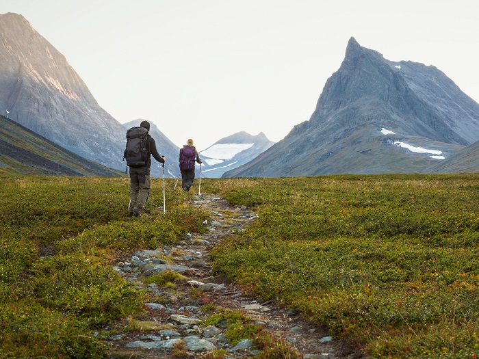 Exhibition of Swedish Grace