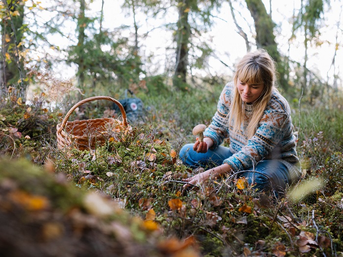 100th Anniversary of Wålstedts Textilverkstad